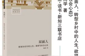 《双面人》：乡村巨变中的人生、欲望与社会心态图片
