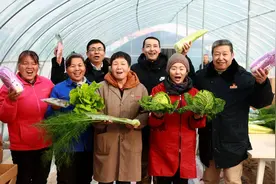 曙光村：蔬菜大棚里的美丽蝶变图片