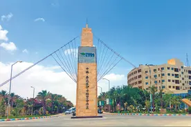 中国支持非洲发展制造业，实现经济多元化——“非中工业化合作不断迈上新台阶”（新时代中非合作）图片