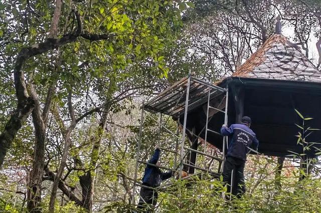 “秃顶”已久的张堰公园亭子，最近…