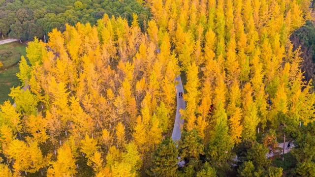 这里藏着最治愈的周末时光！