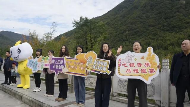 首趟！宝鸡至徽县旅游专列到站，千名游客沉浸式打卡“陇上江南”