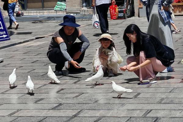 【活力中国调研行】平安驿·河湟民俗文化体验地：品河湟文化 赏民俗风情