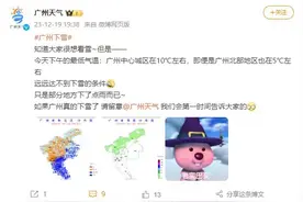 广州没下雪！@广州天气下场辟谣了图片