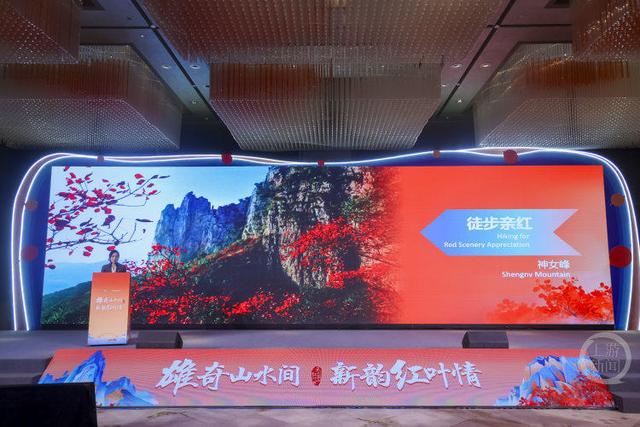 4条线路、5大亮点……快来一场说走就走的“红叶之旅”