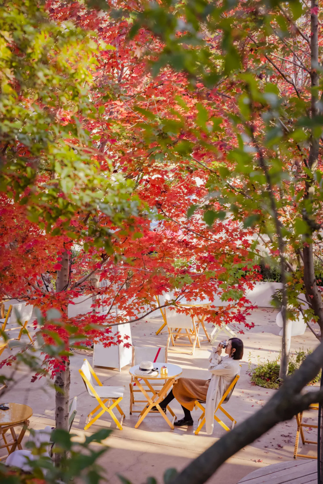 日照色彩派对开启！“美拉德”风景正当时！