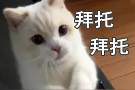 集体户怎么在厦门上小学？图片