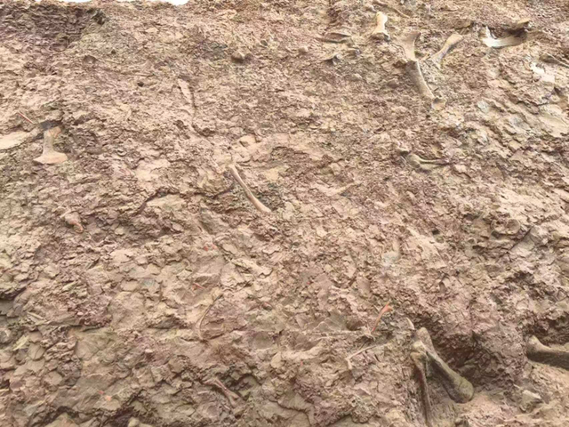 缙云丨阚敬侠：乙巳九月重庆云阳纪行