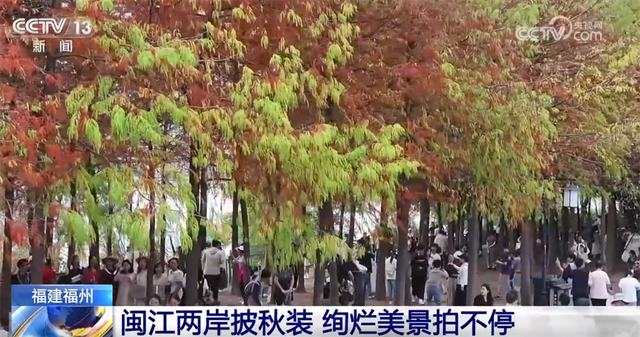 多场景联动打造“赏秋游”沉浸式新体验 “秋日经济”带火文旅消费新实践