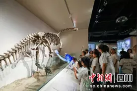自贡恐龙博物馆入选全国百强榜单图片