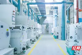沃野新章｜智慧农业新标杆：年加工30万吨大米的“5G智造”图片