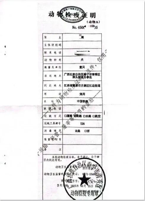 宠物可以坐高铁了！今天起，广西高铁开通宠物托运服务