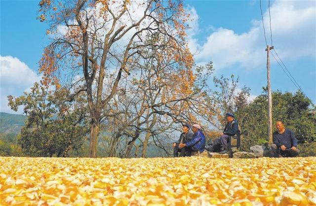 色彩斑斓 民风淳朴