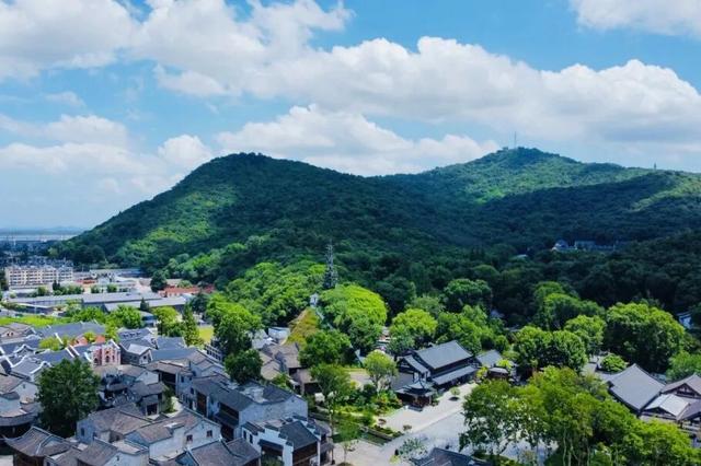 【国庆研学第一弹】栖霞山“我的森林地图”研学招募！五感森林探险、星空夜话会齐上阵！