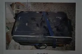 消失的情人：沈阳行李箱藏尸案23年后告破图片