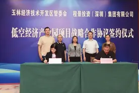 拥抱低空，抢占新赛道——玉林倾力打造广西首个低空经济产业园图片