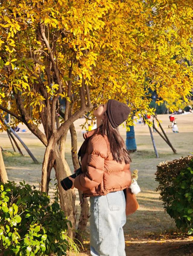 遇见丨开福上新色：捕捉开福黄调时刻