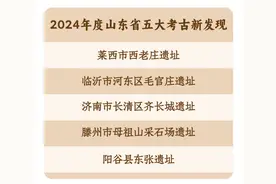 2024年度山东省五大考古新发现揭晓！图片
