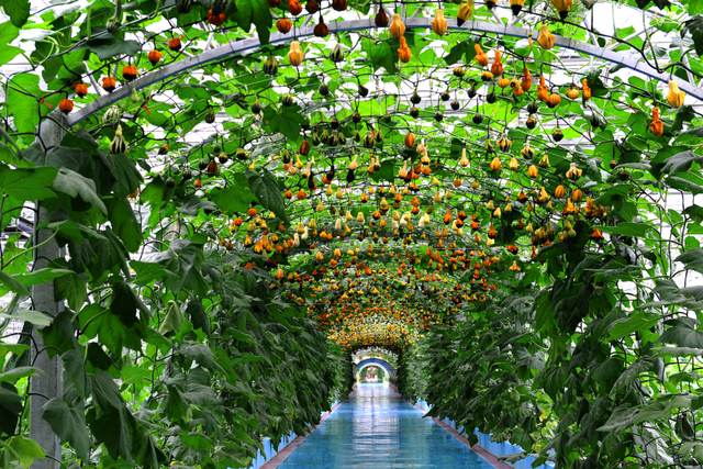 一票游九城，怀化占两个！广铁旅游计次票开售