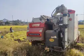 湘粮“丰”景|衡阳：种粮大户地头“算账”卖谷收入352万图片