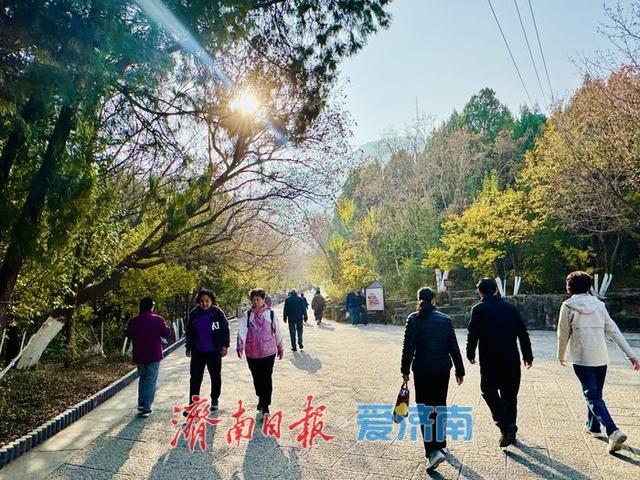 一年四季 泉在济南丨暖阳映彩林 游人赏景忙