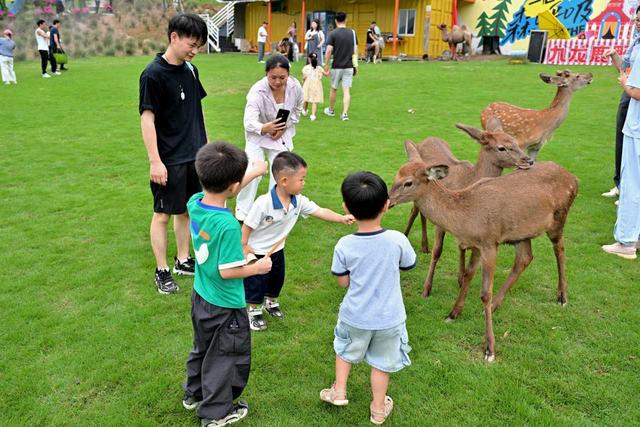 宁波乡村游玩出“新花样”，农文旅融合激活共富新赛道