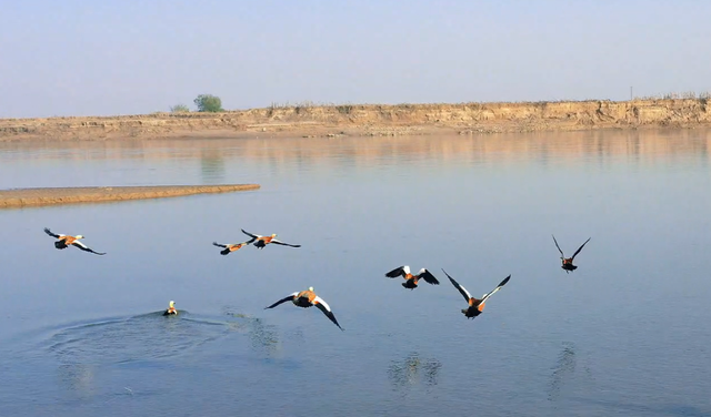临潼河堤路的冬，是美拉德色系的极致浪漫→
