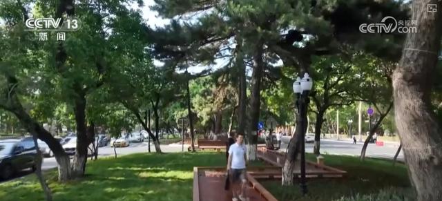 历史可阅读、文化可感知、业态可活化……百年老街焕新颜 文旅与商业活力迸发