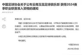 关注｜足协官宣云南玉昆准入过关 递补升甲重获希望图片
