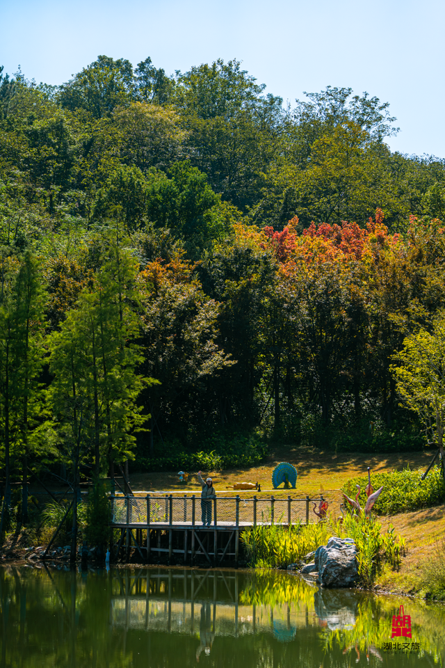 想追风，去团风！