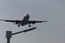 国航飞厦门航班落地前遭遇鸟击，画面曝光！航司称已正常降落图片