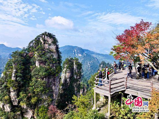 张家界武陵源：层林尽染秋意酣 赴约赏景正当时