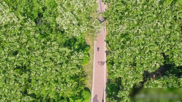 【乐游烟台】沿海穿林登山，在烟台黄渤海新区收集三种风景！