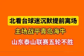 壹粉看球|山东泰山联赛五轮不胜，北看台球迷取消互动，提前离场图片