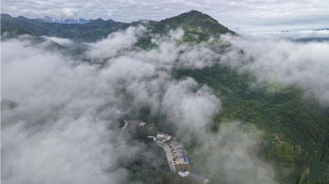 沧浪云海仙境入画来