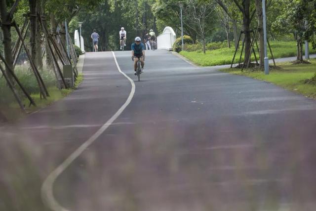 一路都是好风景！快来长宁这条绿道骑行、赏景吧～