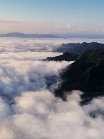 限时抢购！栾川竹海野生动物园双节早鸟票来袭！