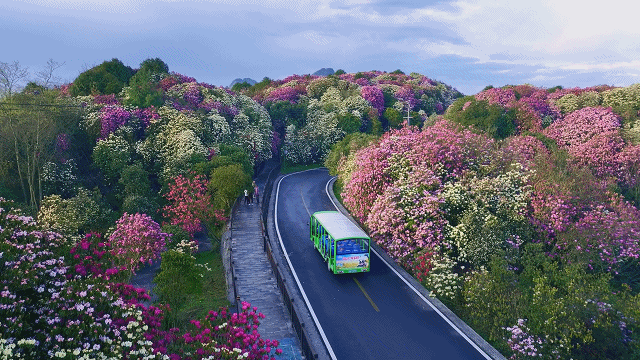 最高奖金50000元！所有人可参与