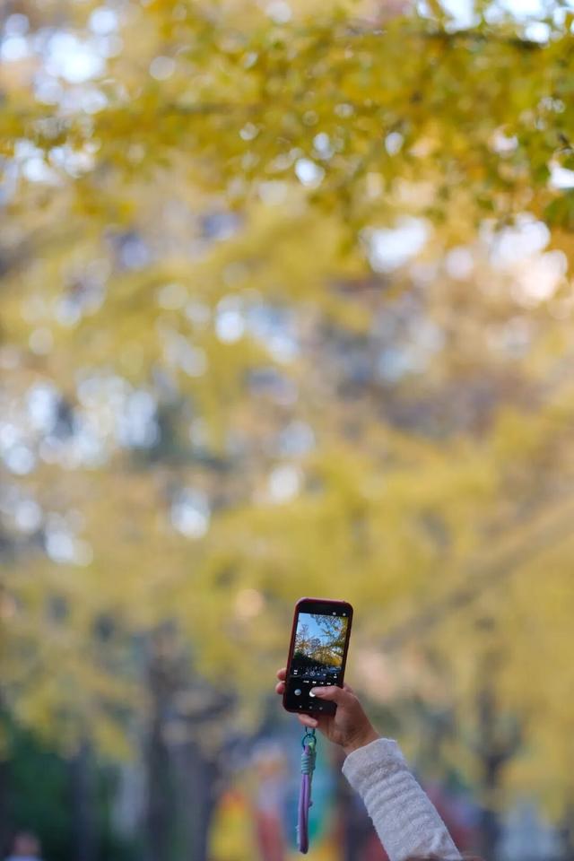 美翻了！南湖，正是红橙黄绿时