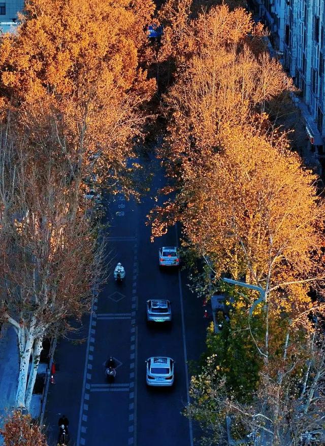 冬日到泰安文化路来一场Citywalk，只走一趟就沦陷