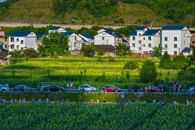 心归永安才叫安！这份永安A级旅游景区游玩指南，藏着你要的诗与远方