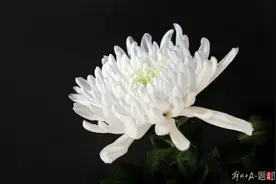 突传噩耗！千亿巨头创始人病逝！图片