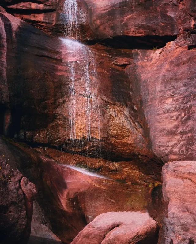 今天没有上班，也没有错过隐藏款新龙红山