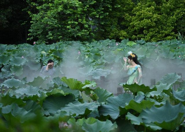 江北石门公园：雾森系统造清凉之境 荷花池畔“仙气”十足