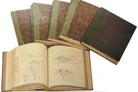 专栏｜鲁迅的故事：学医与弃医图片