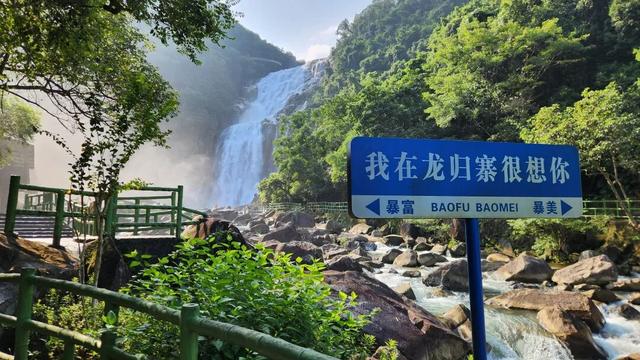 高能预警！现场直击丰顺绝美花墙、花路...