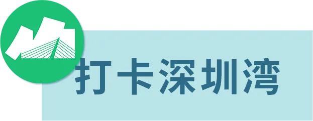 9:00开抢!新一轮消费券来了