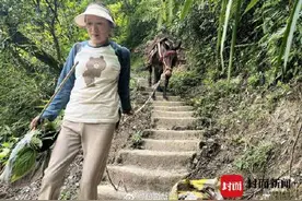 景区负责人：峨眉山骡子运输不得超过150斤图片