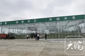 学习贯彻党的二十届三中全会精神丨天长市：农业设施确权赋能，金融“及时雨”助力乡村振兴梦图片