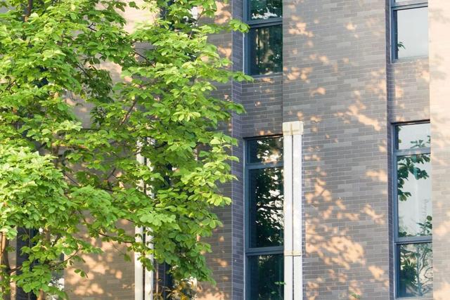 在川大，这是我的珍藏地！